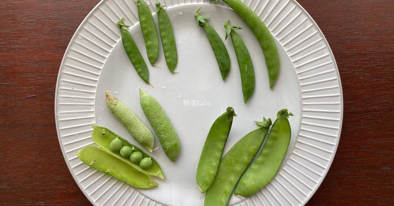 Study48 サヤエンドウの無駄のないスジの取り方と茹で時間 野菜labo 田野実 温代 Note