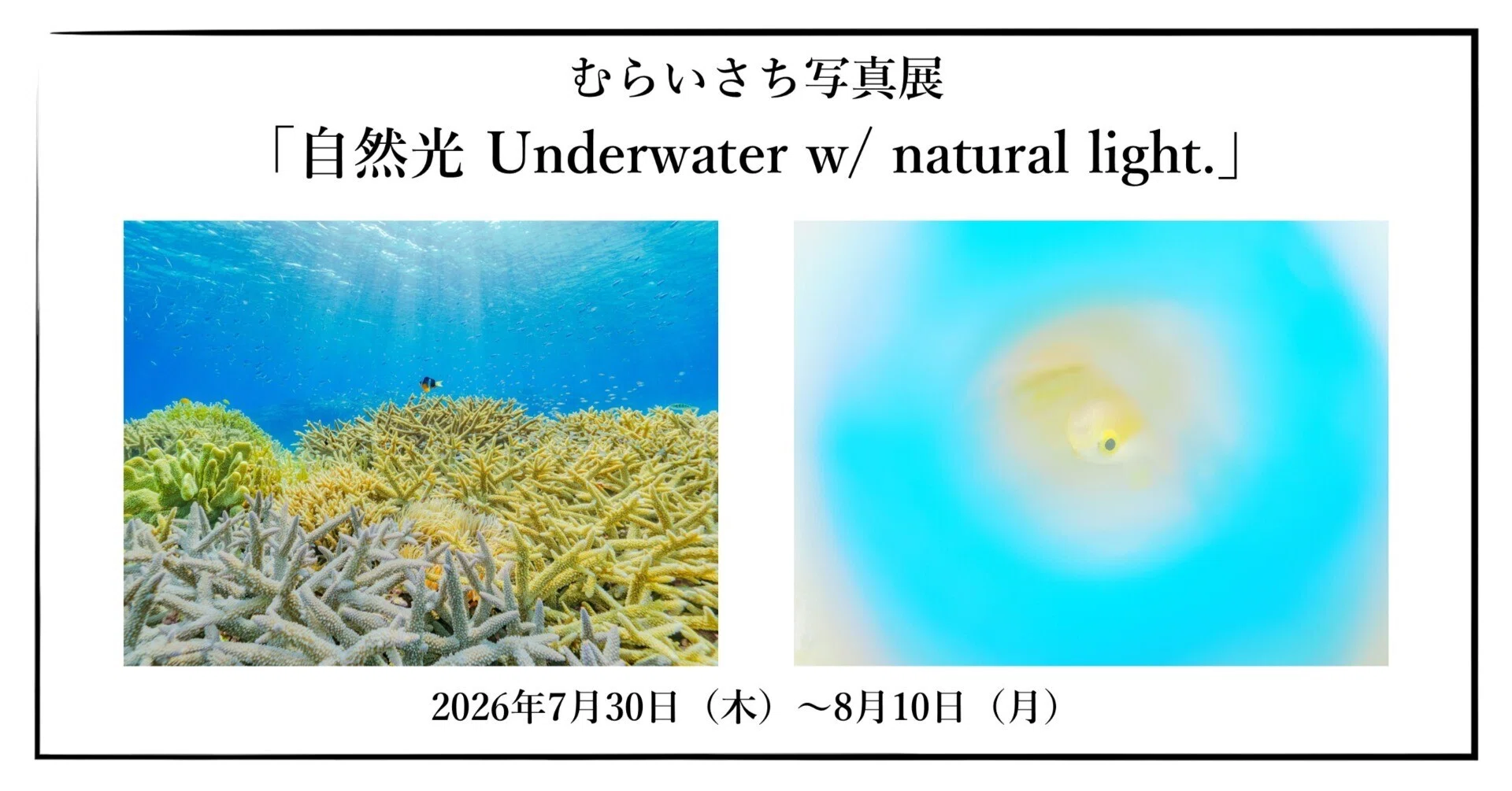 天然記念物　超レア　水入り　黄色流砂 2026年7月30日（木）～8月10日（月）むらいさち 写真展「自然光