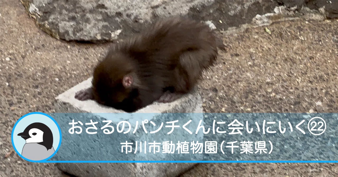 おさるのパンチくんに会いにいく22-市川市動植物園（千葉県）｜Solo