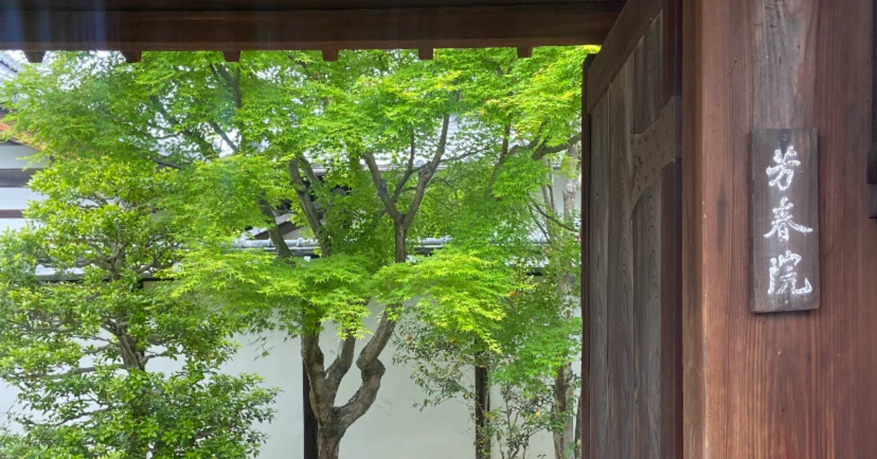 大徳寺芳春院 竹内浩一の襖絵｜トモコ444