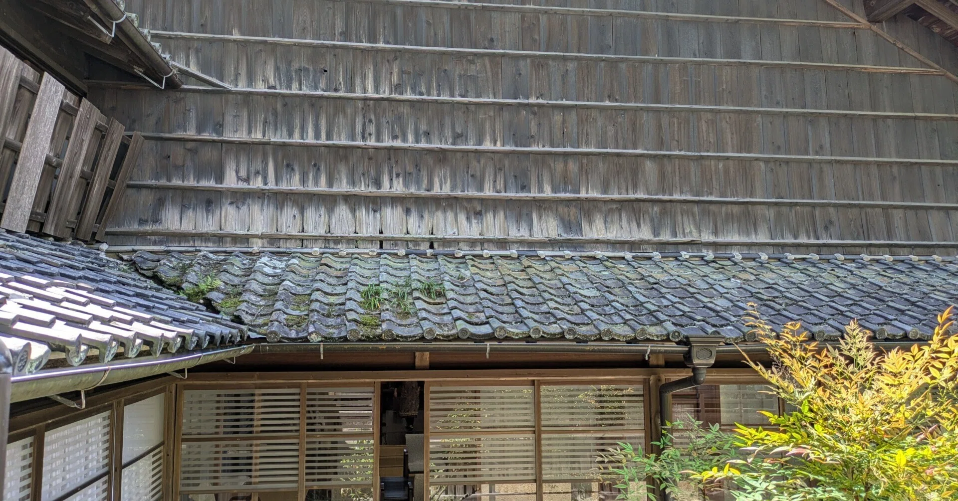 【中古】 みなごろしの寺 2026.04.19 静岡市清水区、盛り沢山な清見寺と河内の大石｜keitoneco99