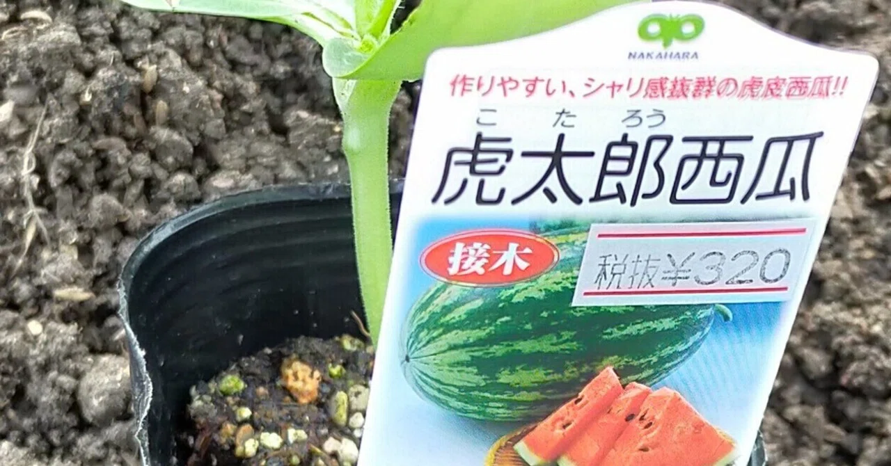 虎太郎」と書いて「コタロウ」と読む｜家庭菜園の魔法使い