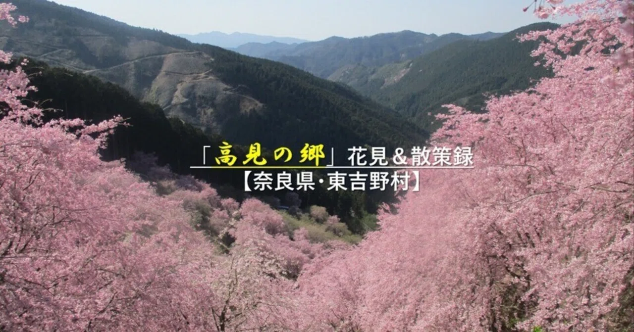 高見の郷」花見＆散策録【奈良県・東吉野村】｜GEnKU