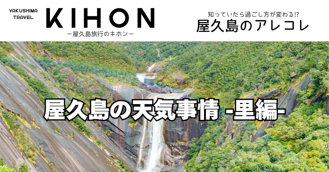 屋久島 の 波 の 高 さ