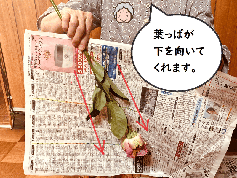 お花の 水揚げ のお話 とっ子ちゃん Note お花の 水揚げ のお話 とっ子ちゃん Note