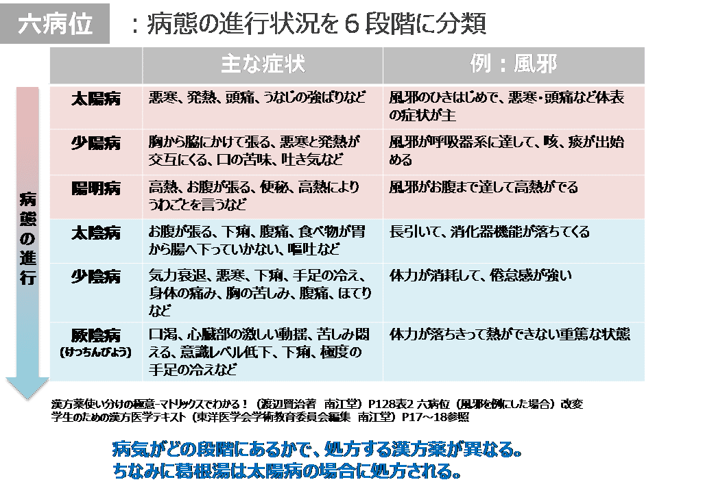 あなたに合う漢方薬を人工知能が予測する未来 ～＜前編＞漢方
