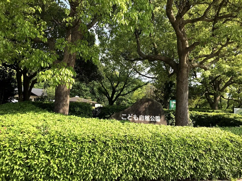 03 こども自然公園 大池公園 に行ってみた ぴん Note