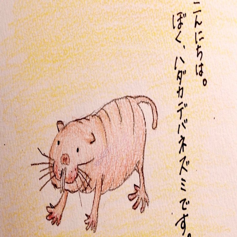 ハダカデバネズミくん くじくじら Note
