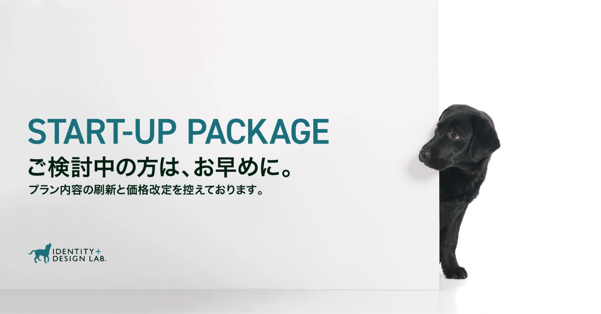 ご検討中の方はお早めに。START-UP PACKAGEはプラン内容の刷新と価格