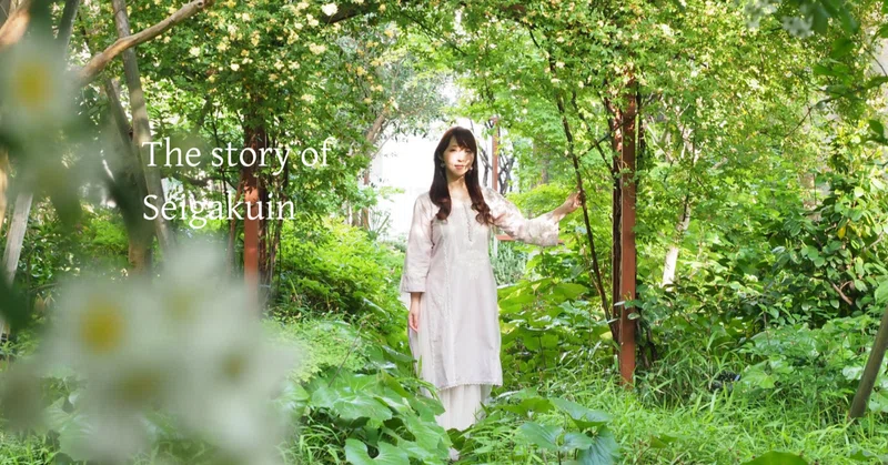 美しいものにある浄化作用で、自分の心の中の暗闇に光を増す｜#083（後編）　渡辺 麻恵さん