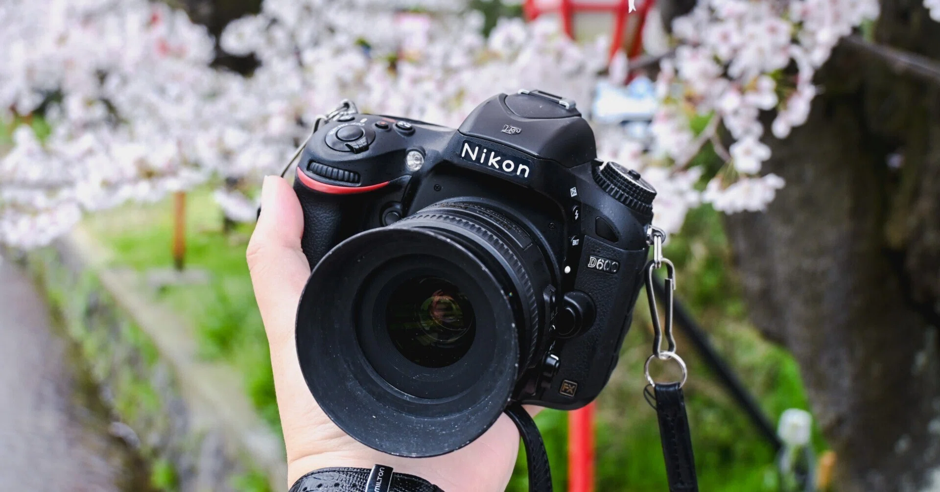 Nikon】D600と35mm f1.8でお花見｜もんぶらん