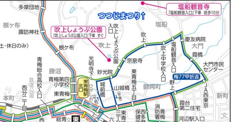 シルバーパスで乗り継ぎ塩船観音つつじまつりを歩く