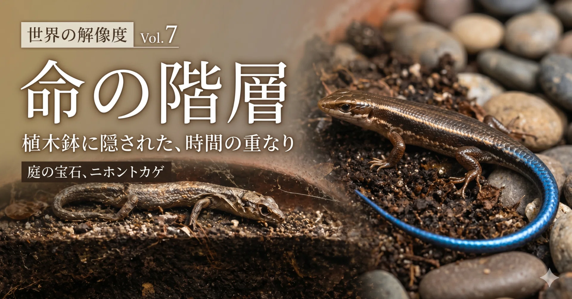 世界の解像度⑦庭の宝石、ニホントカゲ｜六花【詩と暦】