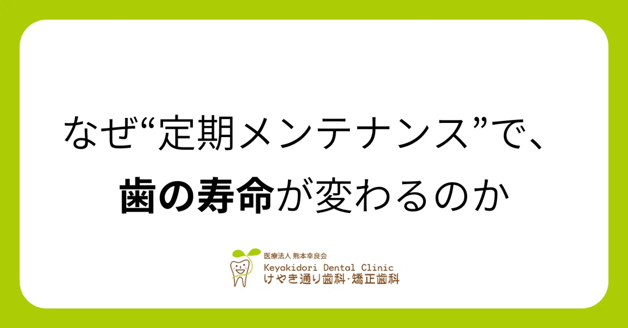 なぜ定期メンテナンスで、歯の寿命が変わるのか|けやき通り歯科・矯正歯科(熊本)