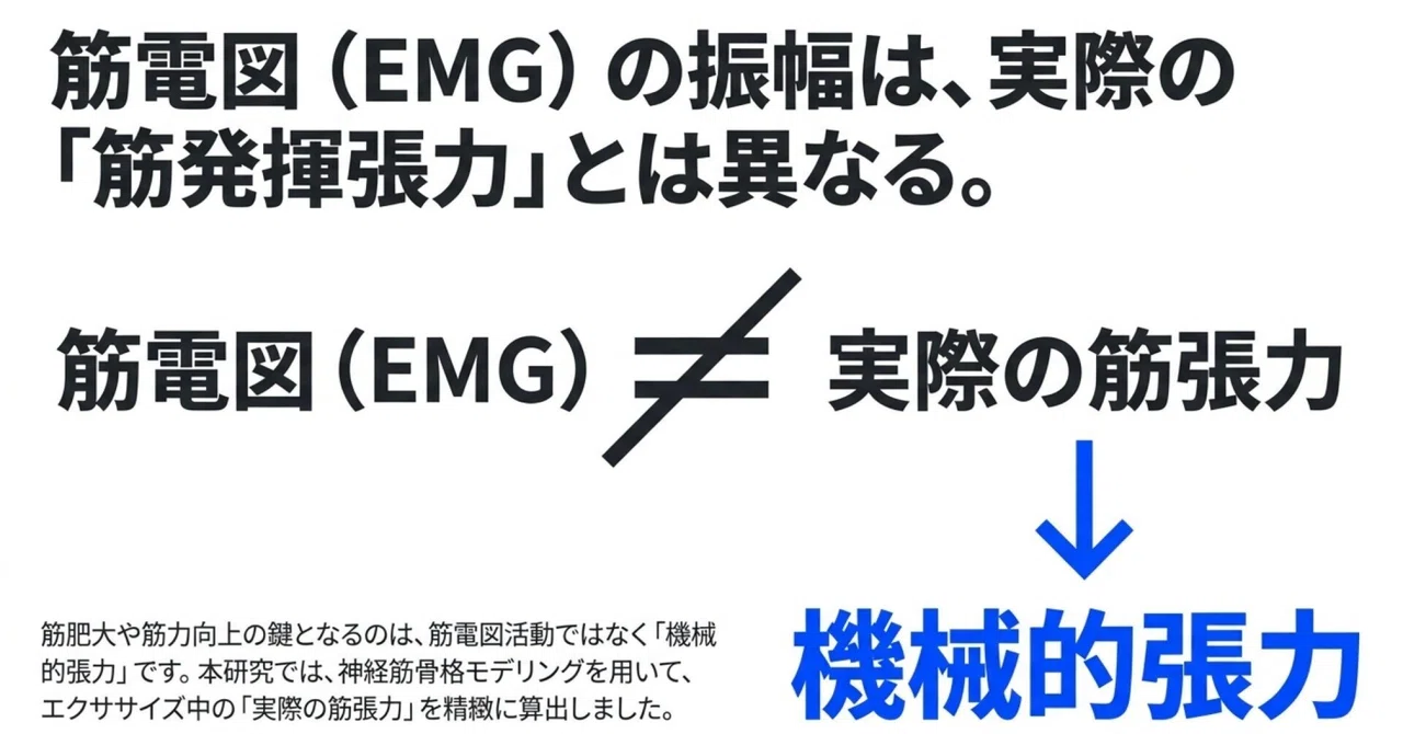 お尻トレの真実：『効いている感覚』と効いているは別物