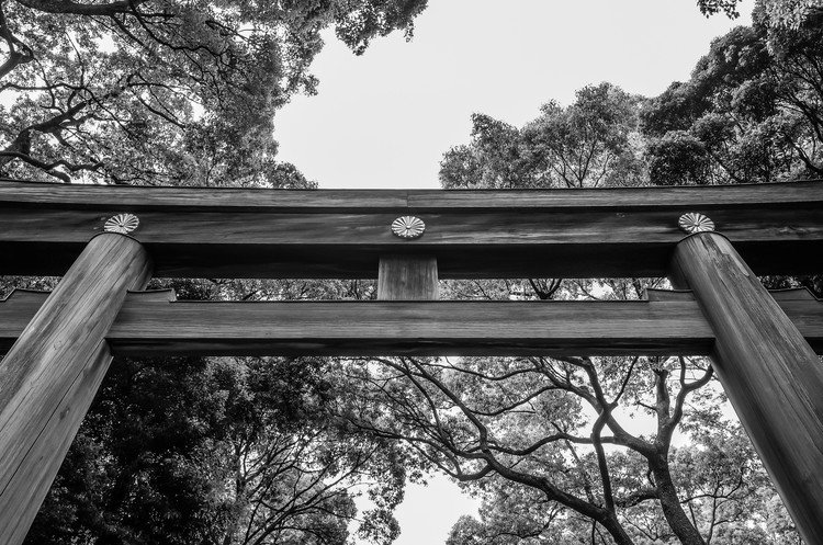 @ Meiji Jinguu Shrine, #Shibuya, #Tokyo.  #写真好きな人と繋がりたい　#明治神宮　#鳥居　#モノクロ
