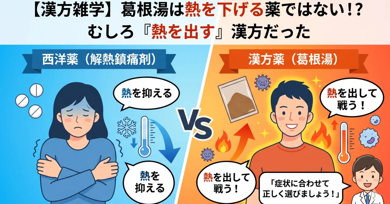 【明日話せる漢方雑学#10】葛根湯は熱を下げる薬ではない！？むしろ「熱を出す」漢方だった｜三ツ野薬局スタッフ