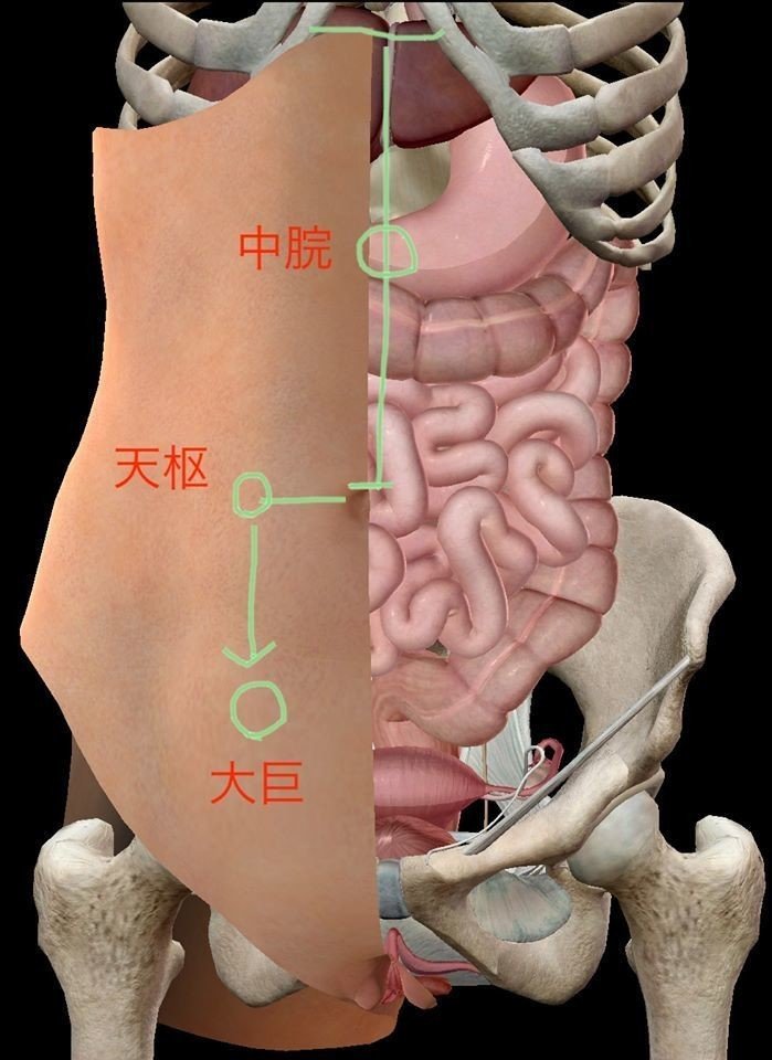 仰向け 胃痛