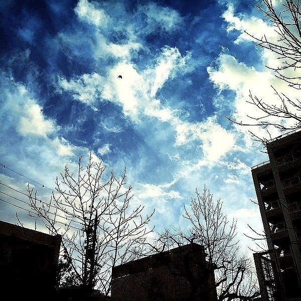 空が綺麗だなって撮ったら雲が絵に描いたみたいに撮れました かなり日が長くなってきて帰りの空を見上げるのが楽しみ ー Moe Note 空が綺麗だなって撮ったら雲が絵に描いたみたいに撮れました かなり日が長くなってきて帰りの空を見上げるのが楽しみ ー Moe Note