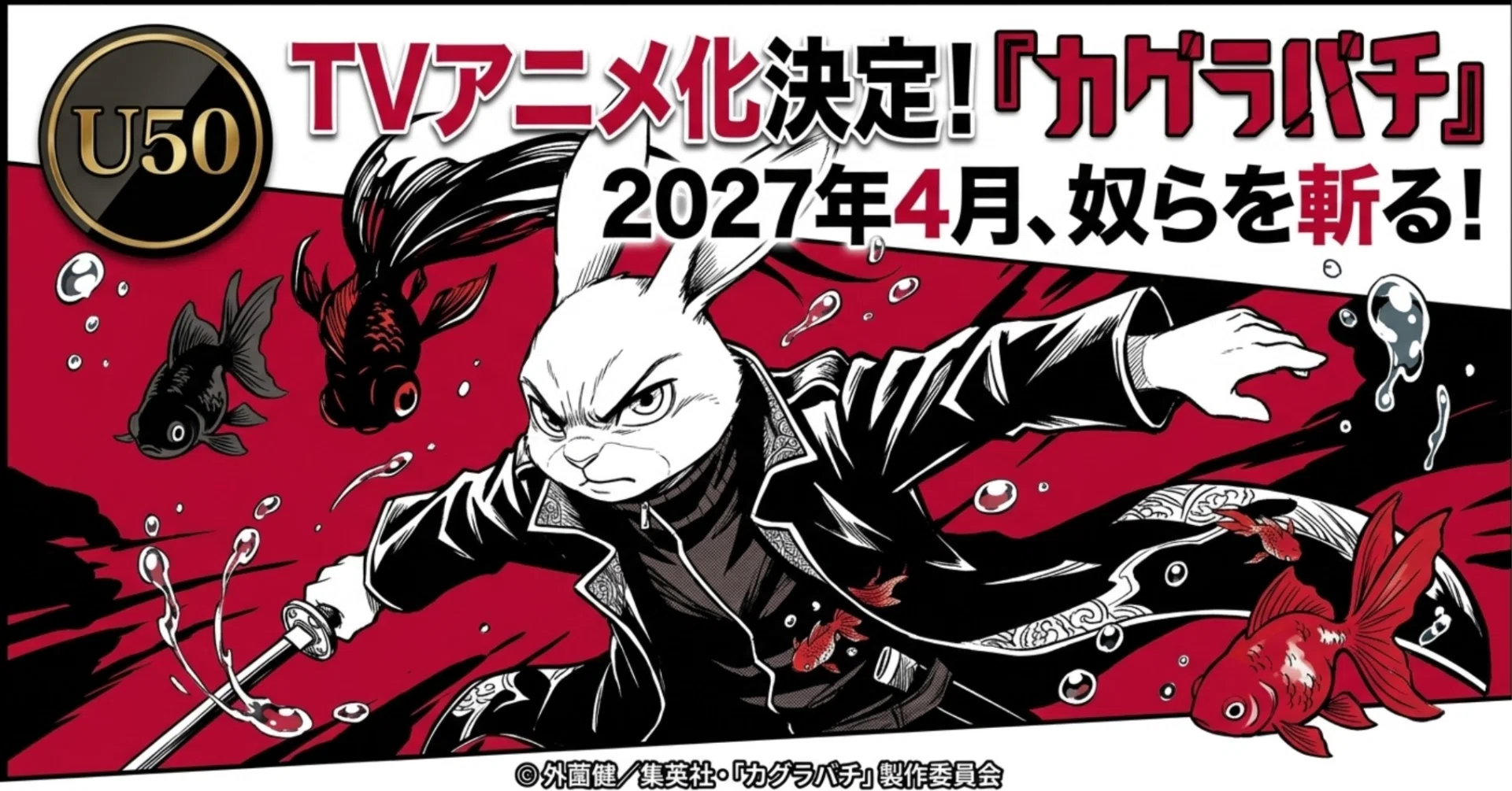 【祝27年4月アニメ化】カグラバチ 初版 1〜11巻 全巻 セット 帯・チラシ付 カグラバチ』ついに2027年4月TVアニメ化決定！海外でも話題の「刀×復讐