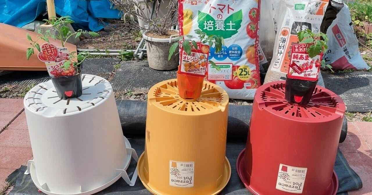 追加した比較栽培用のトマト品種など。｜エフゲニーマエダ（平成林業。）
