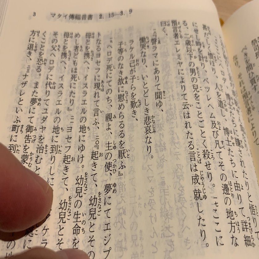 2冊の聖書と日本語の自由 高井浩章 Note