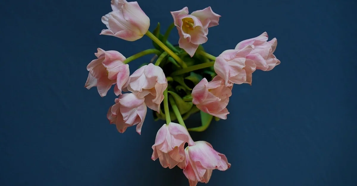 画像11