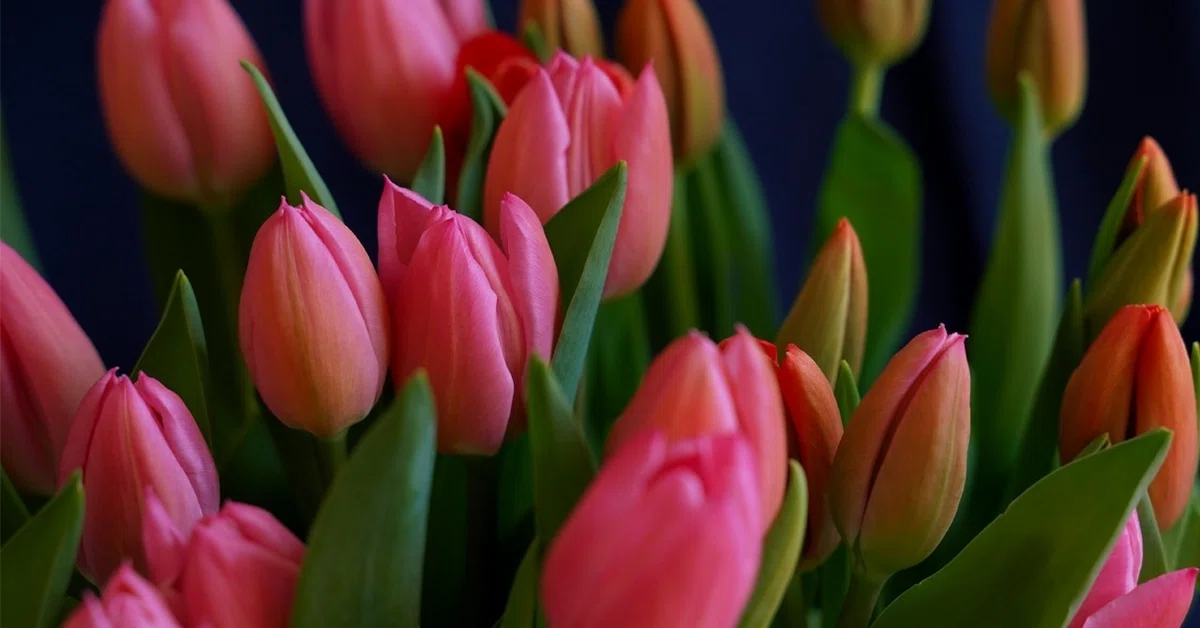 画像13