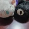 チュッピー