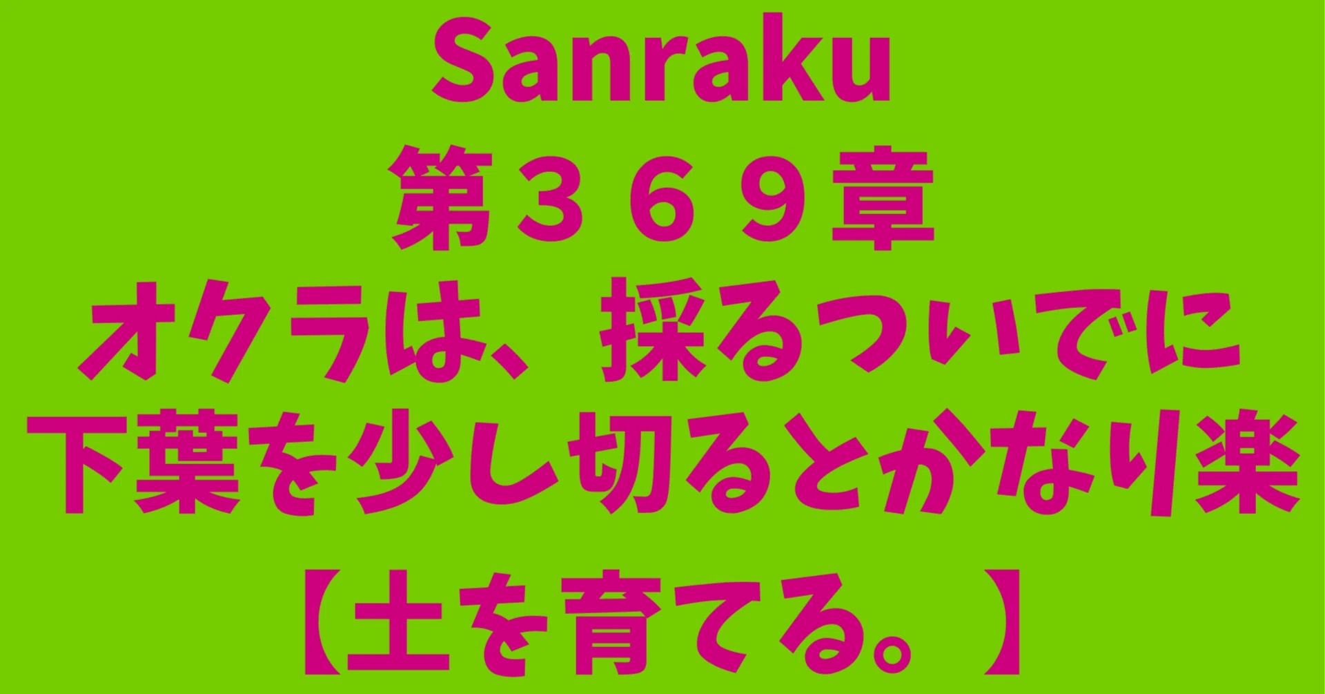 土を育てる。】第369章：オクラは、採るついでに下葉を少し切ると 