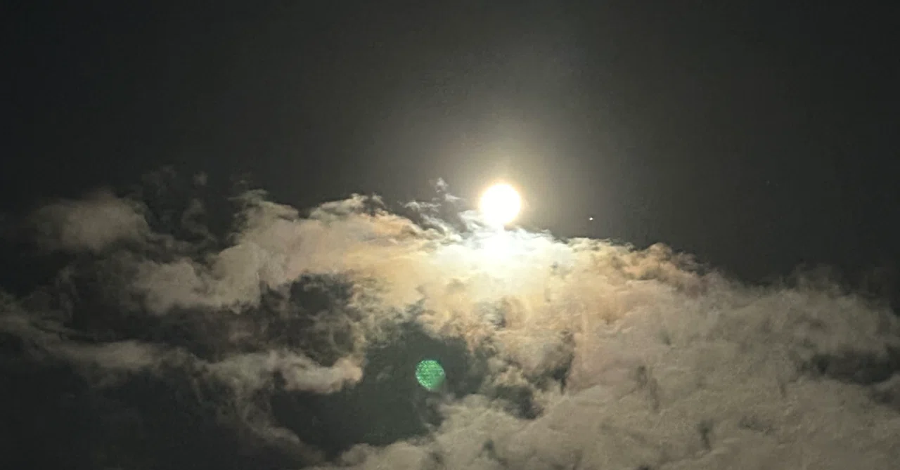 The End Point of Solitude and Thought｜白兵
