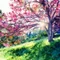 calm_ixora