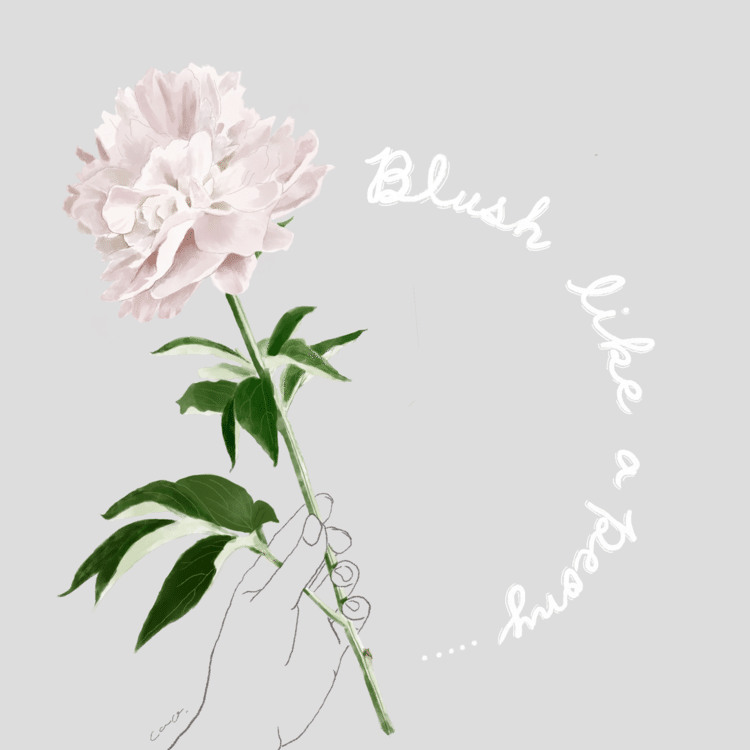 植物イラスト Cao イラストレーション Note