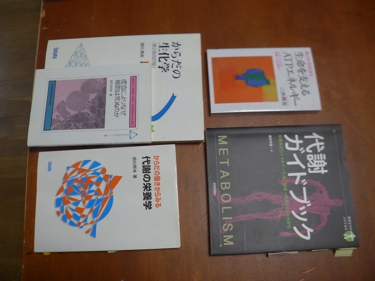 画像4