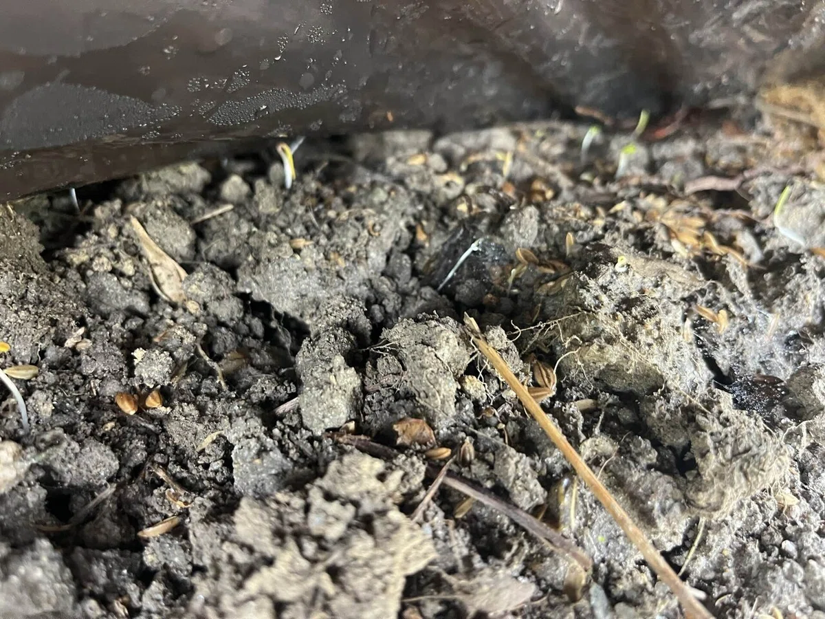 右の方に水滴がついているところ。