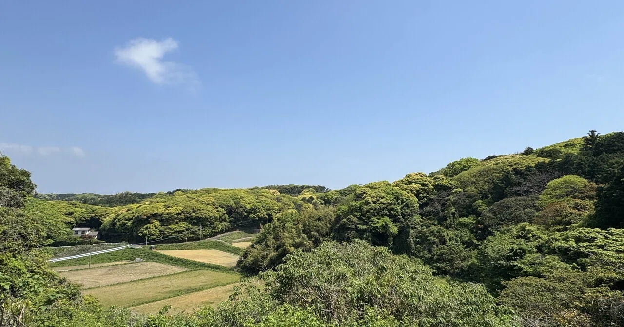 The Island's Third Place｜サワさん