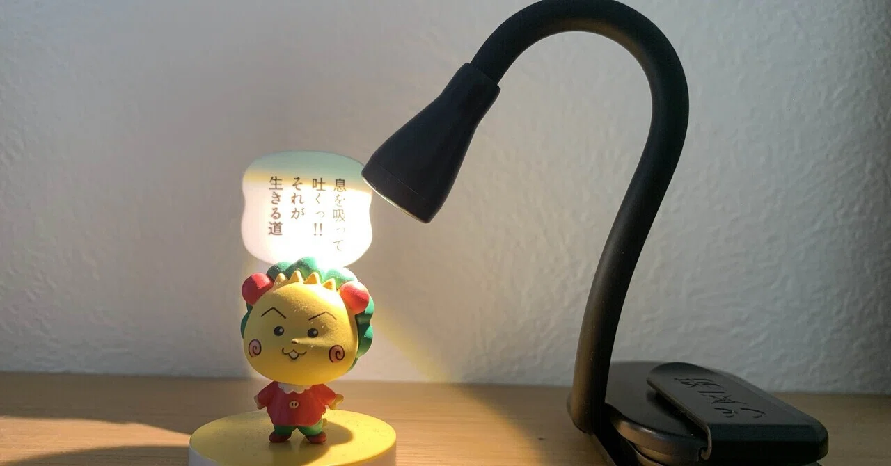 1ヶ月レビュー】Amazonで無名ブランドのLEDブックライトが良かった話