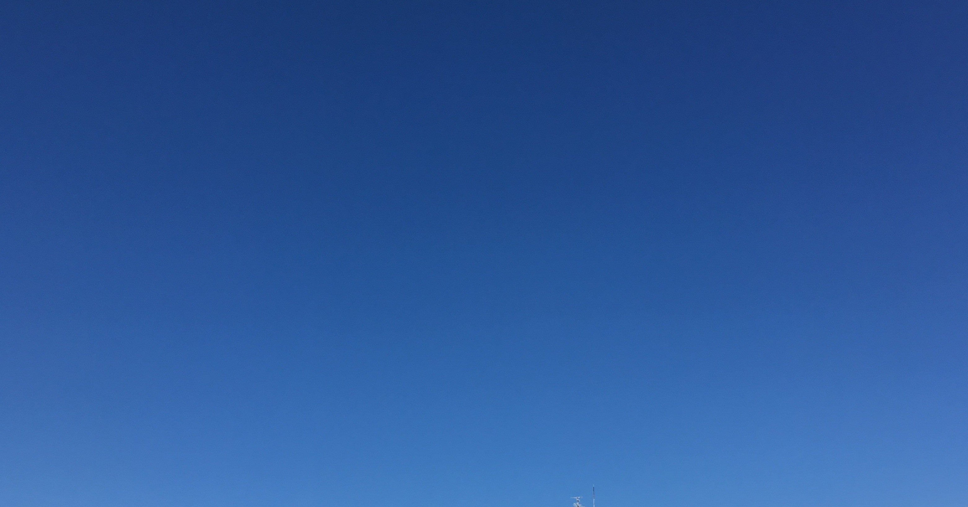 振る べき か ふら ざる べき か