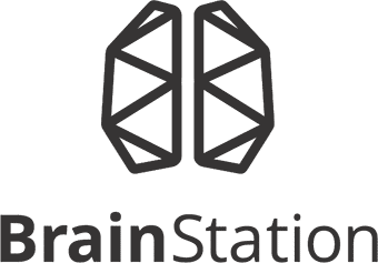 Brain station logo