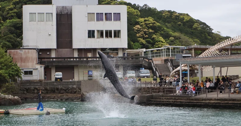 【新翔高校】遠足に行きました！