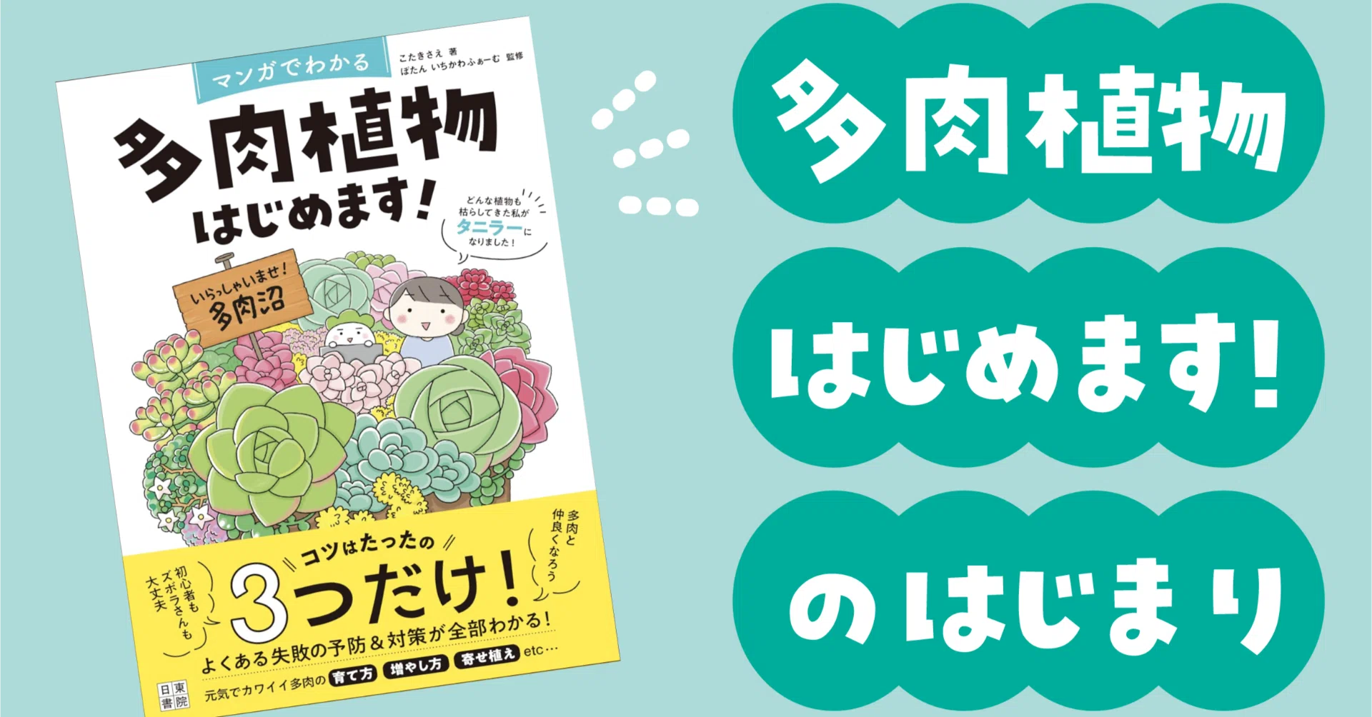 多肉植物はじめます！」のはじまり｜こたきさえ