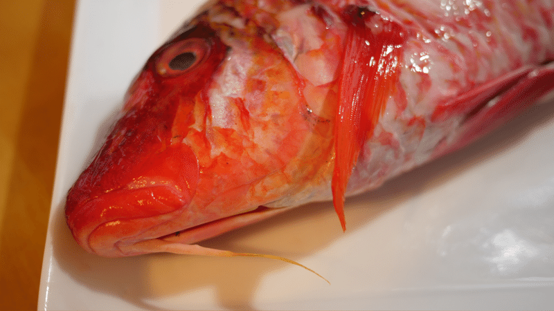 姫路の鈴木カタヤスおじさんを相手に失敗した話 原 一平太 Note