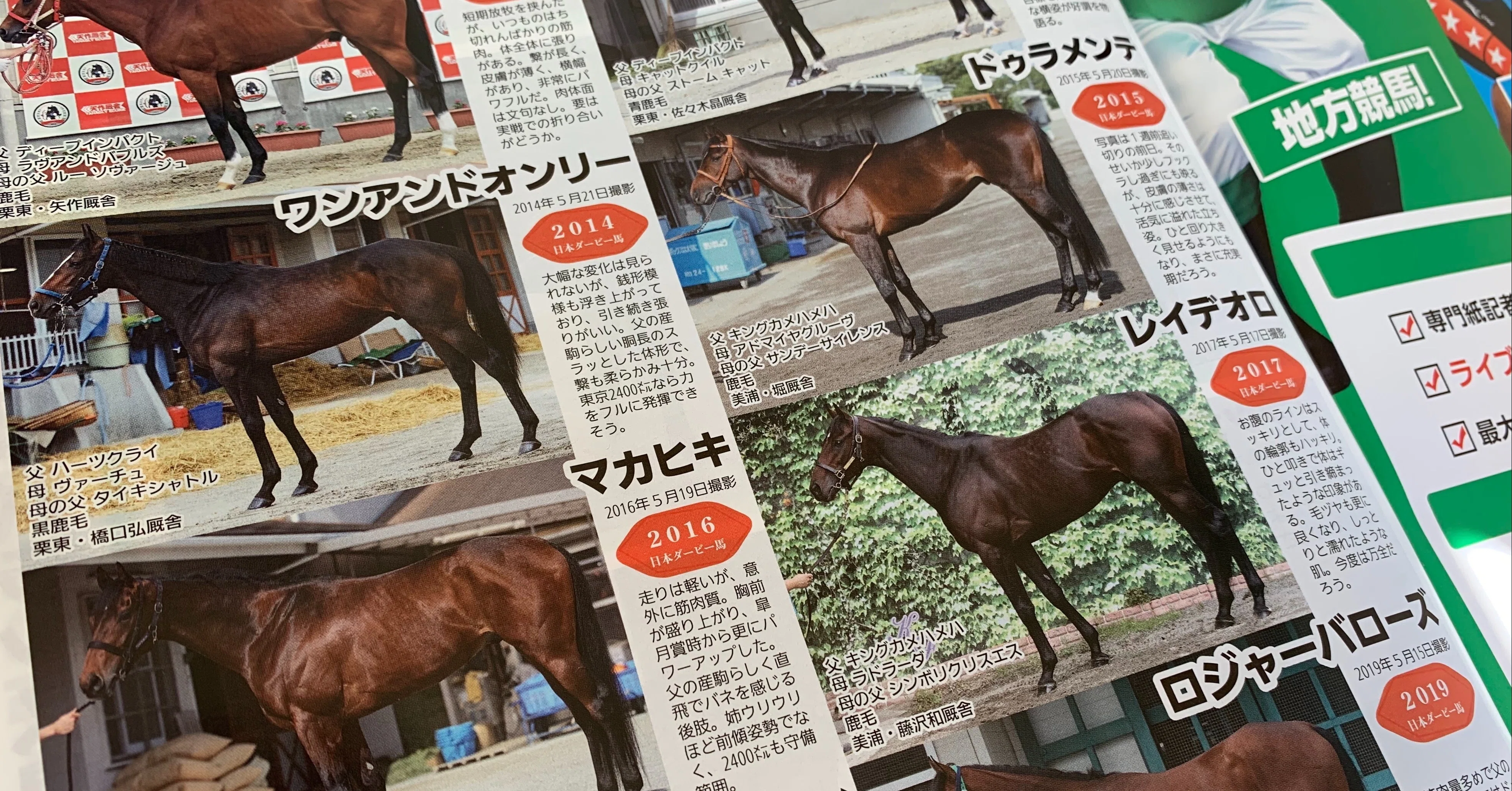 過去10年のダービー馬の立ち写真からわかること 一口馬主マスターb Note 過去10年のダービー馬の立ち写真からわかること 一口馬主マスターb Note