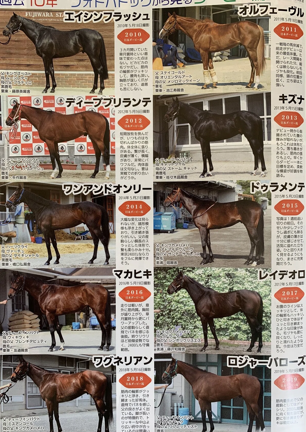 過去10年のダービー馬の立ち写真からわかること｜一口馬主マスターB