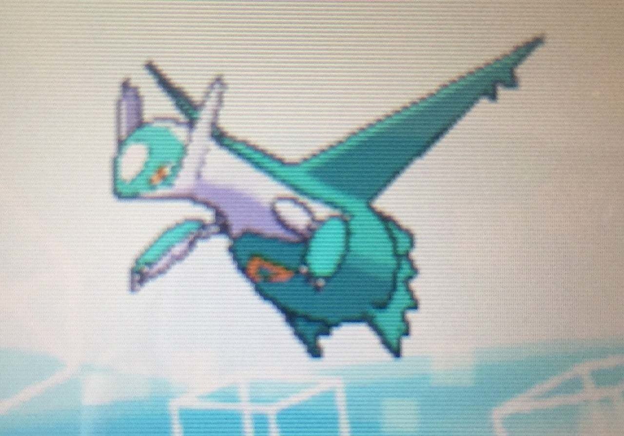 全リボン ラティオス 紹介 Fumi Note 全リボン ラティオス 紹介 Fumi Note