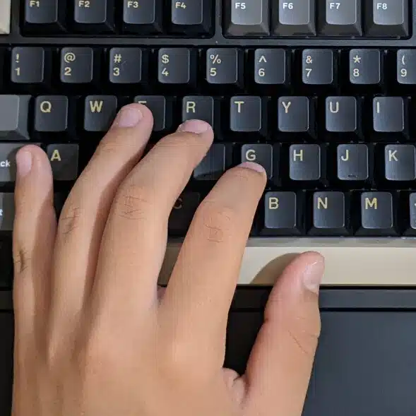 掌