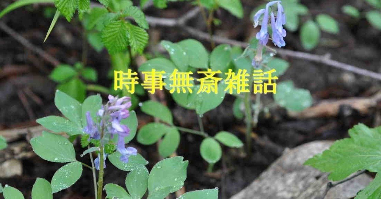 時事無斎雑話 2 私家版 頭の悪いキャラクター の作り方 Mura Tadasi 村 正 Note