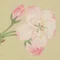 SAKURA WORK