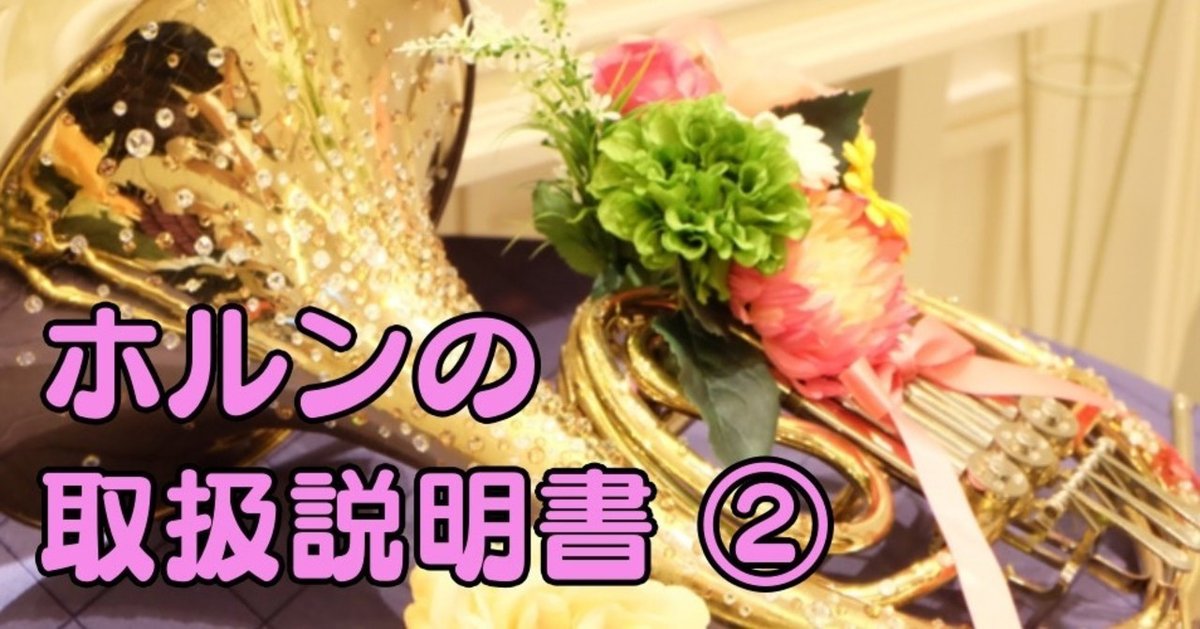 ホルン超初心者マニュアル】②楽器ケースの開け方｜しょーとも