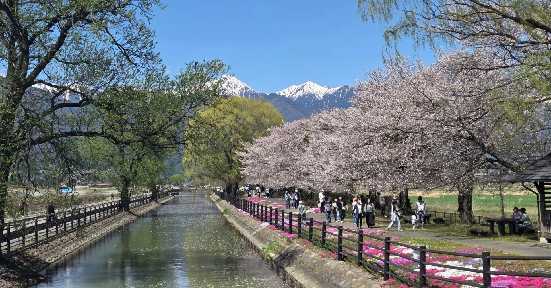 長野】春の安曇野・鉄道で巡る北アルプスの絶景！～大糸線の旅①
